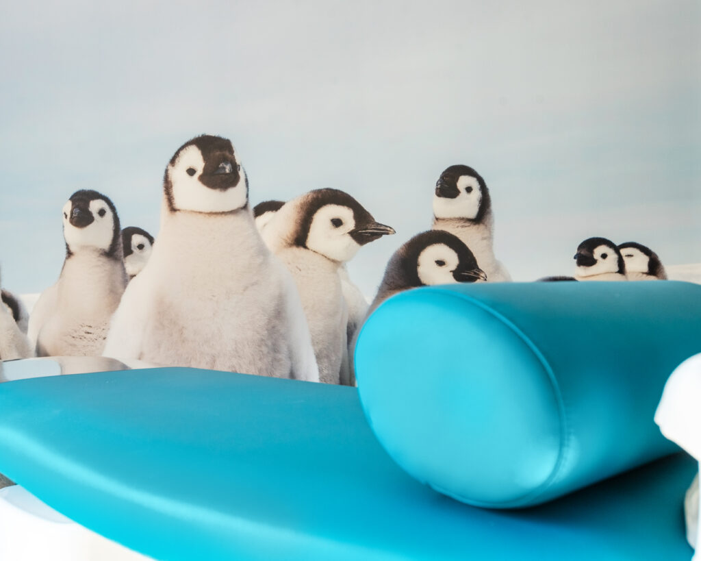 le Dr Gérot est spécialisé dans la prise en charge des pathologies dentaires chez l'enfant à Annecy 74 et sa région. Notamment endontologie et MIH