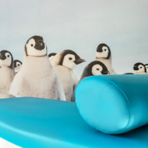 le Dr Gérot est spécialisé dans la prise en charge des pathologies dentaires chez l'enfant à Annecy 74 et sa région. Notamment endontologie et MIH