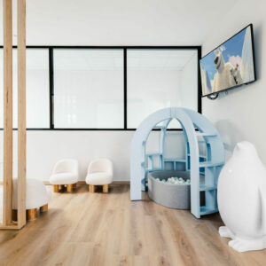 Cabinet dentaire pédiatrique à Annecy et région Rhône-Alpes. un décor féérique pour les enfants !